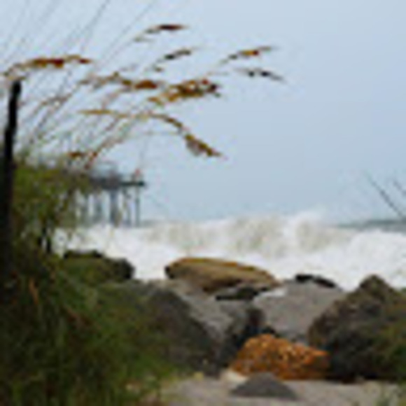 Meet your Posher, Heather - Picture 1 of 1